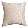 Softline Home Fashions Dijon Decorative Pillow in Natural color.