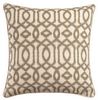 Softline Home Fashions Kaylan Decorative Pillow in Latte color.