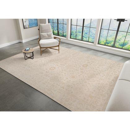 Amer Rugs AIN-1 Ainsley - Ivory - Room View