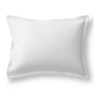 Ann Gish Art of Home Neo Collection - White Pillow.