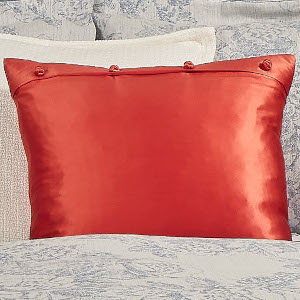 Ann Gish Charmeuse Pillow with French Knots