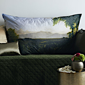  Ann Gish MET x Landscape View on the Catskill Pillow