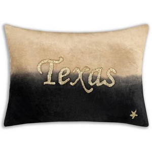 Cloud9 Design TEXAS01C-BGCHL (14x20) Decorative Pillow