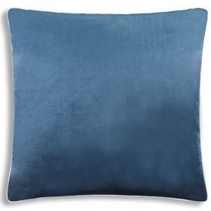 Cloud9 Design NOAH01F-NYSV (24x24) Decorative Pillow