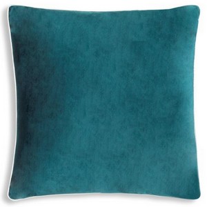 Cloud9 Design NOAH01F-TLSV (24x24) Decorative Pillow