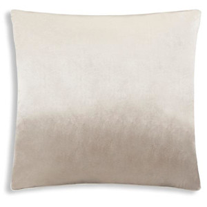 Cloud9 Design NOAH01F-GYSV (24x24) Decorative Pillow