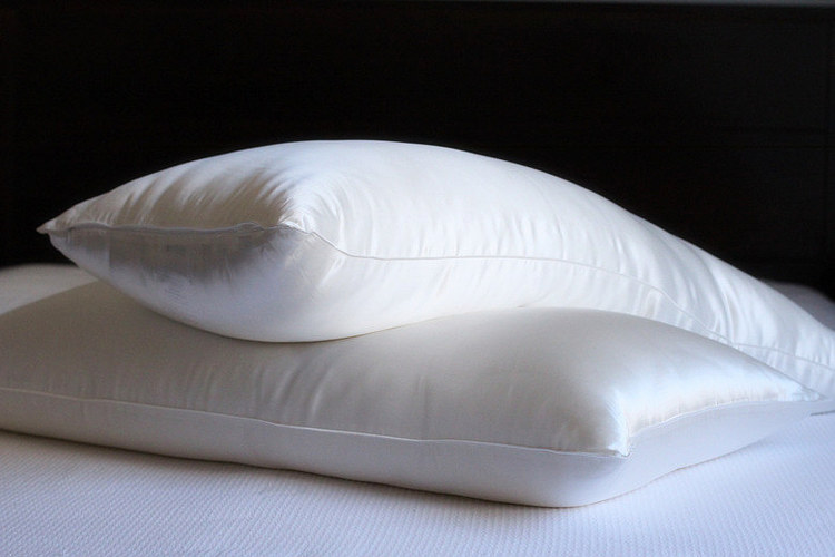Mari Ann Silk Filled Pillow with Silk Cover