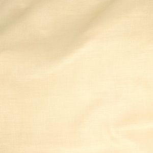 Mondo
 by SDH Bedding in Ivory color.