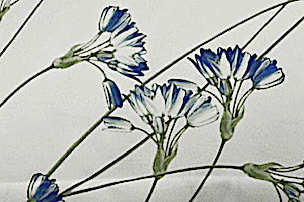 Signoria Firenze Bedding - Lipari Collection fabric close up in White/Blue color.