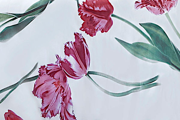 Tulipano Bedding by Signoria Firenze Red color fabric close up.